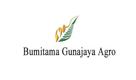 Gaji PT Bumitama Gunajaya Agro
