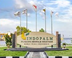 Gaji PT Pacific Indopalm Industries