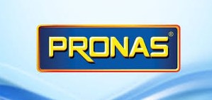 Gaji PT Pronas Indonesia