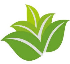 Gaji PT Citra Rempah Lestari