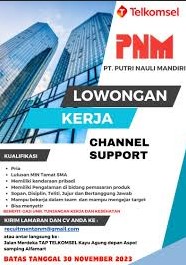 Gaji PT Putri Nauli Mandiri